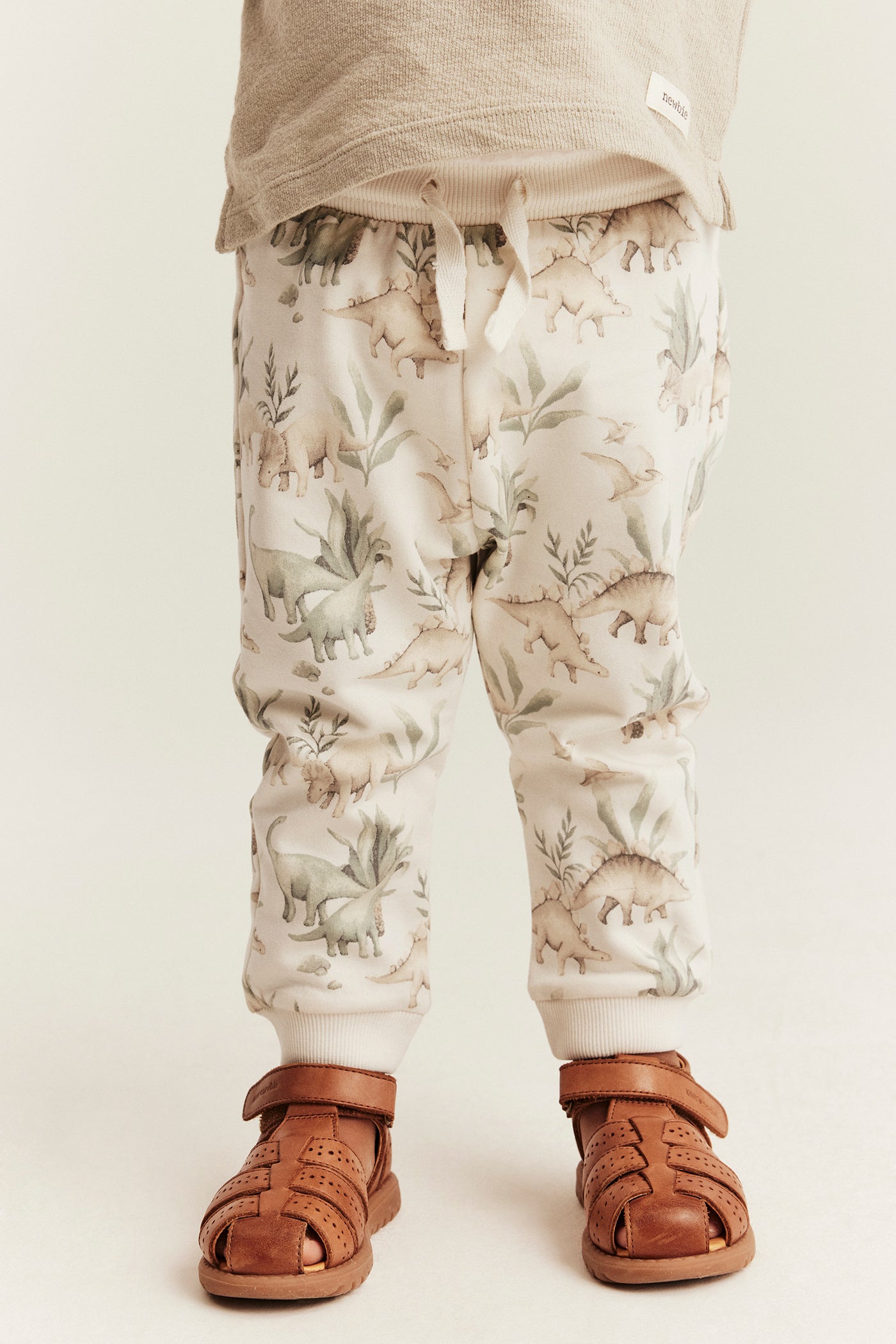 Baby dinosaur print joggers