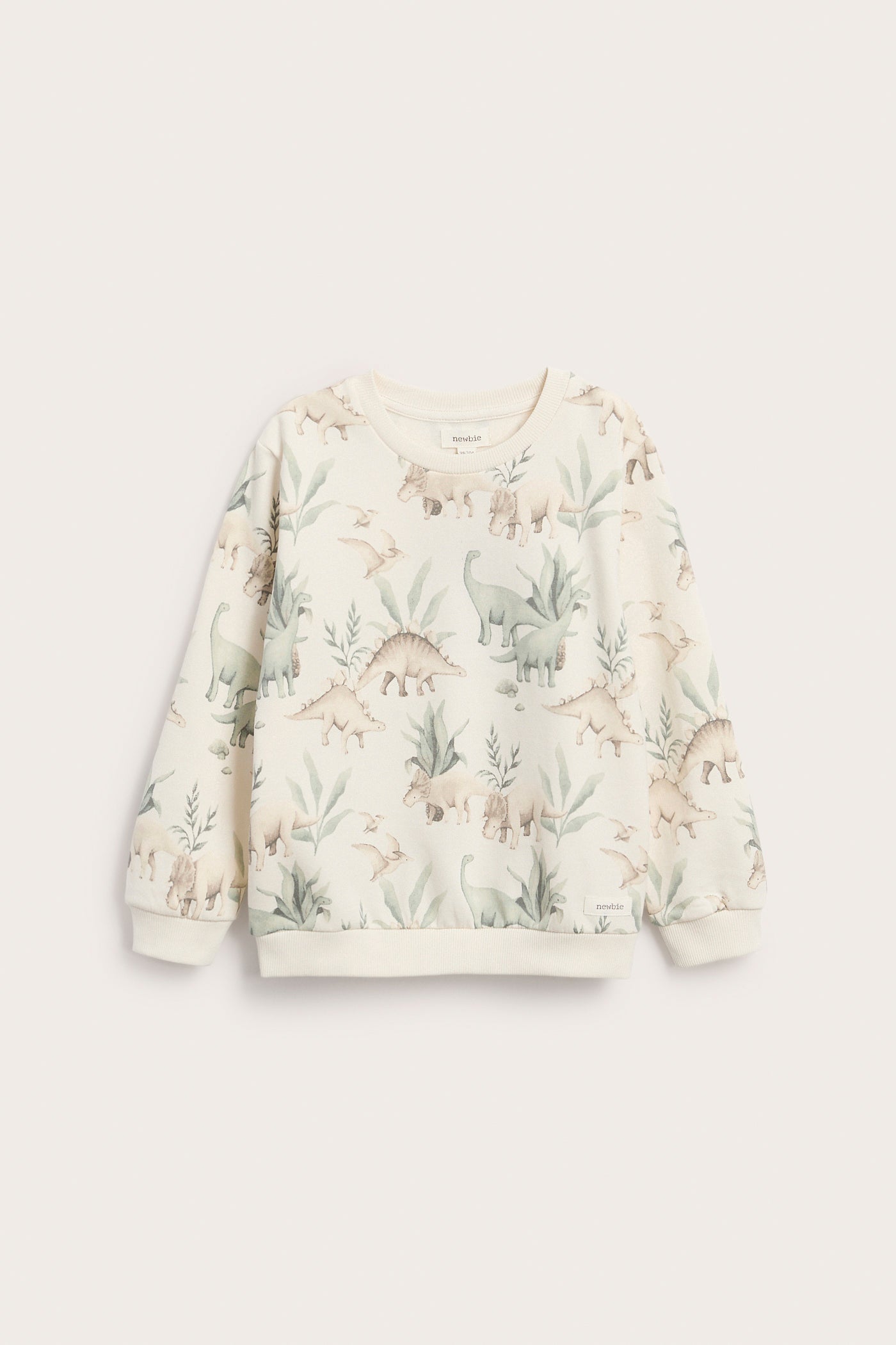 Baby & kids sweatshirt dinosaur print
