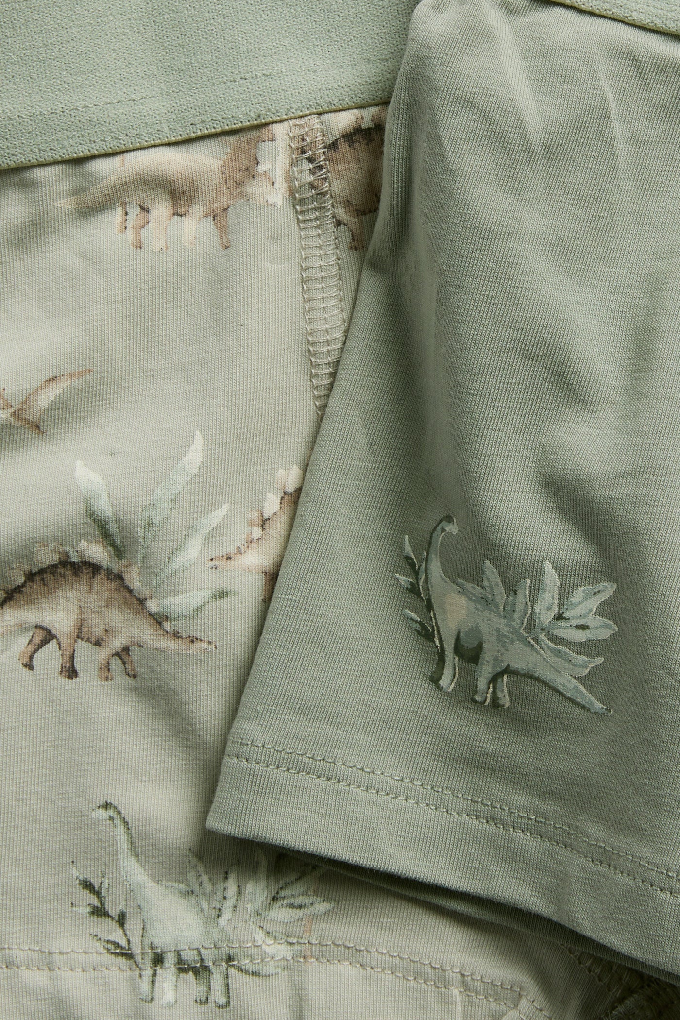 Baby & Kids dinosaur underwear (2-pack)