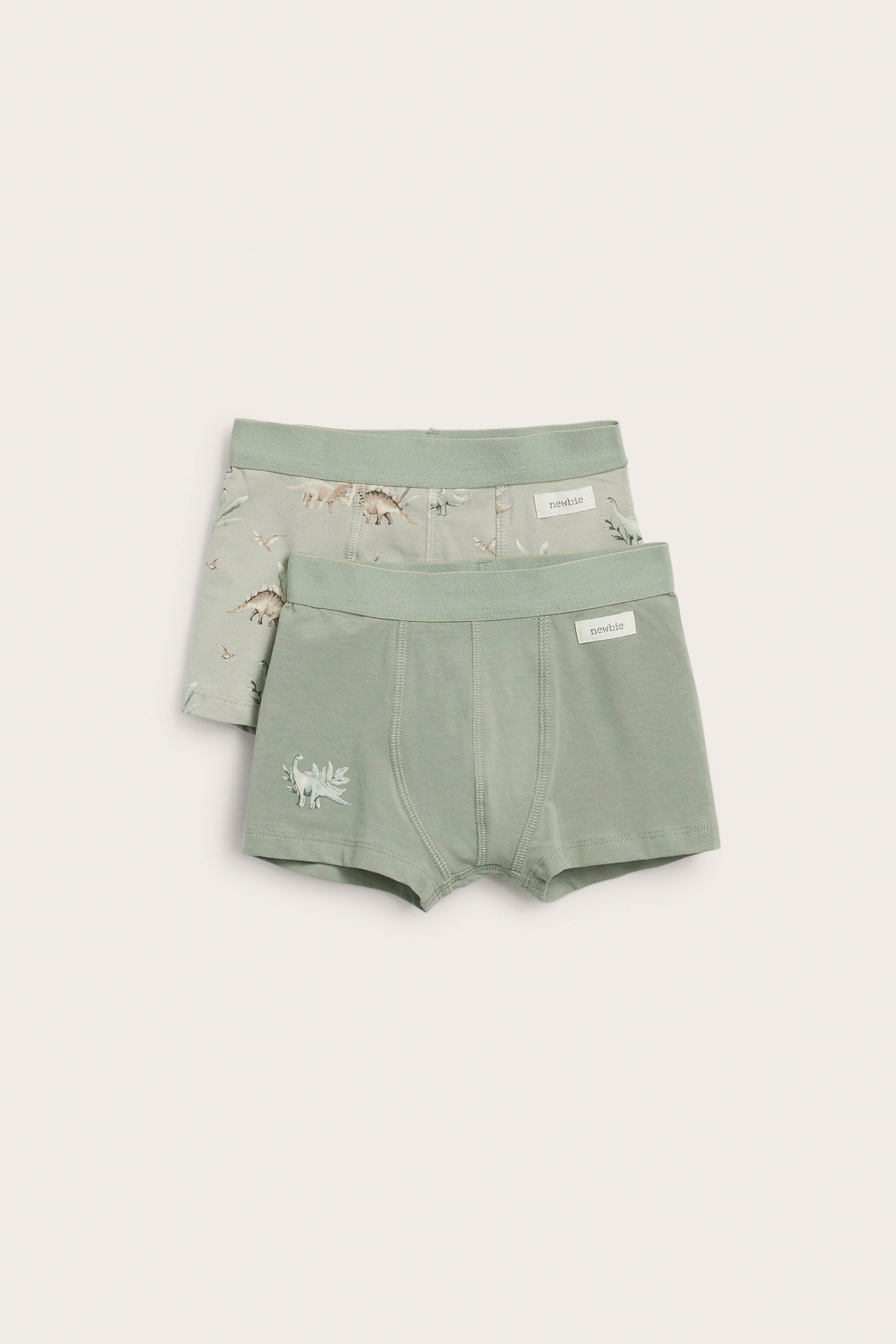 Baby & Kids dinosaur underwear (2-pack)